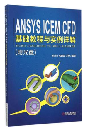ANSYS ICEM CFD基础教程与实例详解