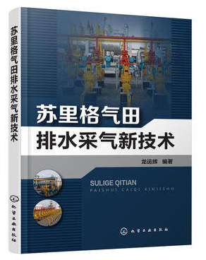 苏里格气田排水采气技术